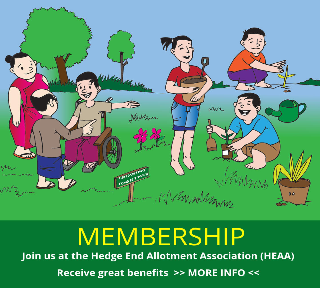 MEMBERSHIP Join us at the Hedge End Allotment Association (HEAA) Receive great benefits  >> MORE INFO << GROWING  TOGETHER